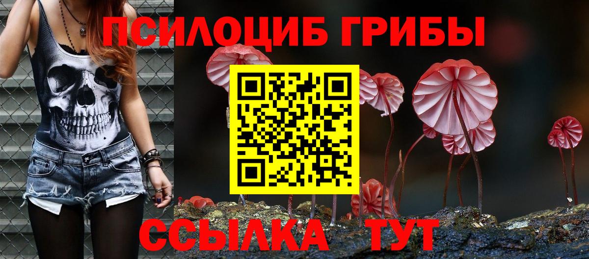 Псилоцибиновые грибы Magic Shrooms  Вход с VPN  наркотики  Берёзовский 
