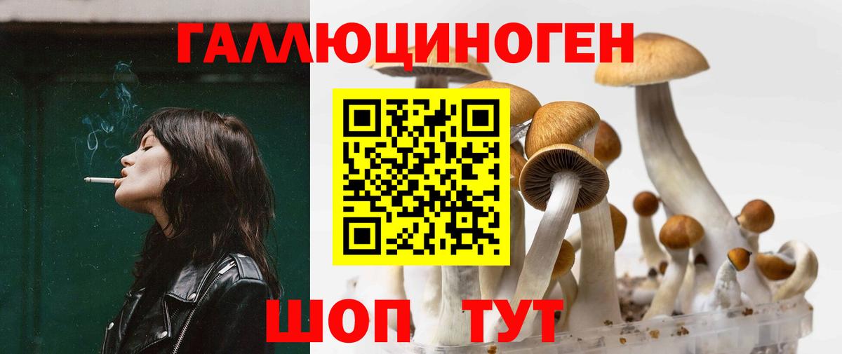 Псилоцибиновые грибы MAGIC MUSHROOMS Берёзовский