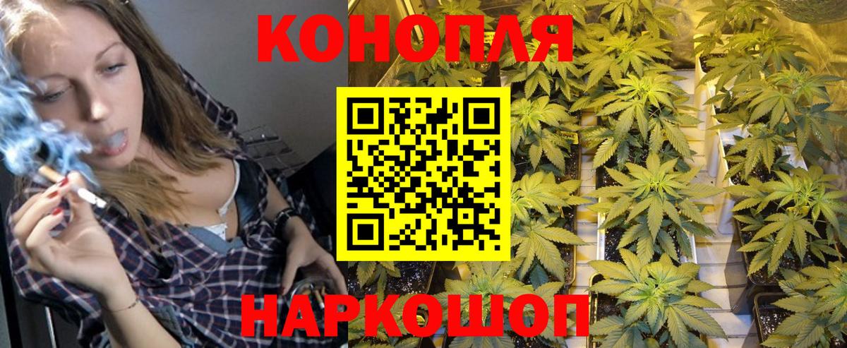 Конопля конопля  Бошки марихуана Amnesia  Вход с VPN  Берёзовский  Бошки Шишки план 